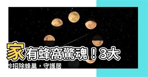 家裡有蜂巢 風水|家有蜂窩預示什麼風水？千萬別把危險留在家中！